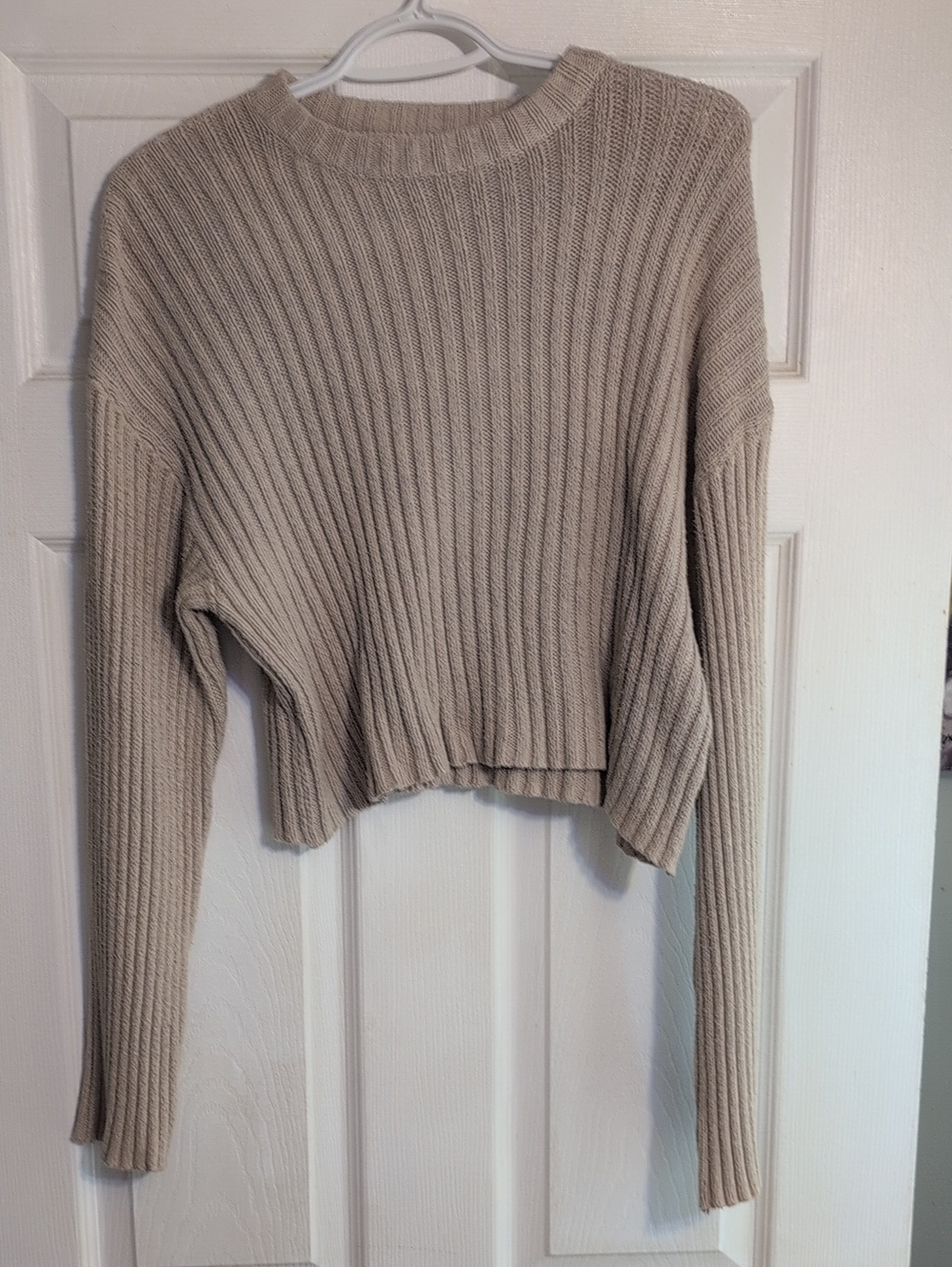 Streetwear Society Ribbed Cropped Crew Sweater in Light Taupe